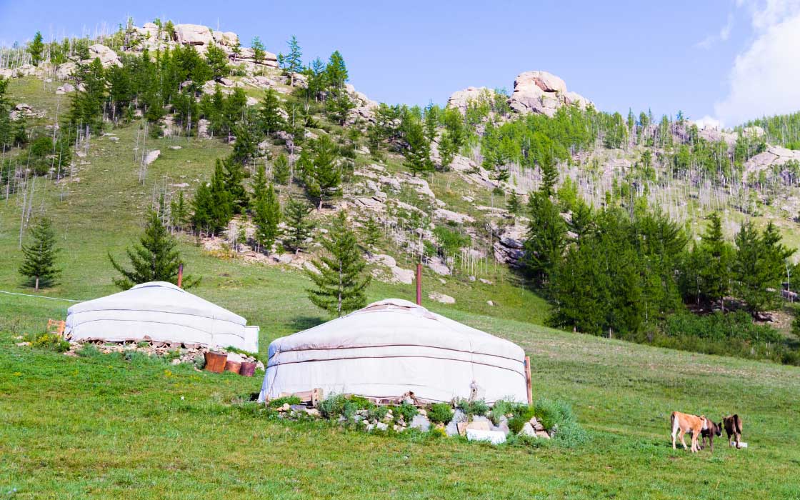 Traditionelle mongolische Zelte